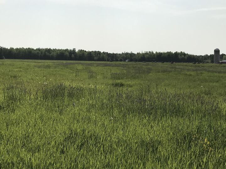 Property Photo: Tbd S Shunk Rd MI 49783