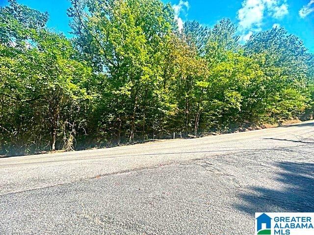 Property Photo: 2556 Smith Sims Road 1 GA 35173