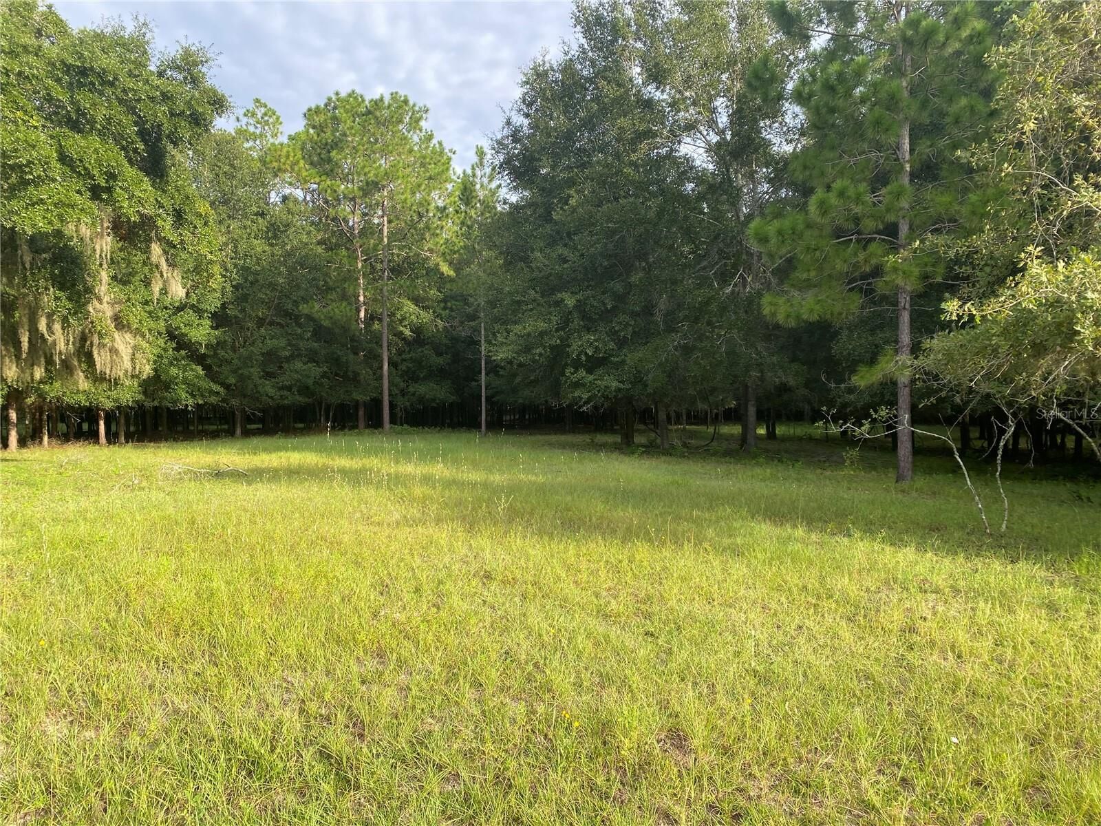 Property Photo: Cr 466 FL 34484