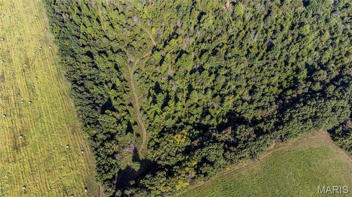 Property Photo: 14585 State Route B MO 65559