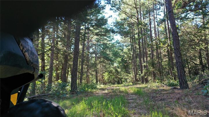 Property Photo:  0 County Road 2590  MO 65462 