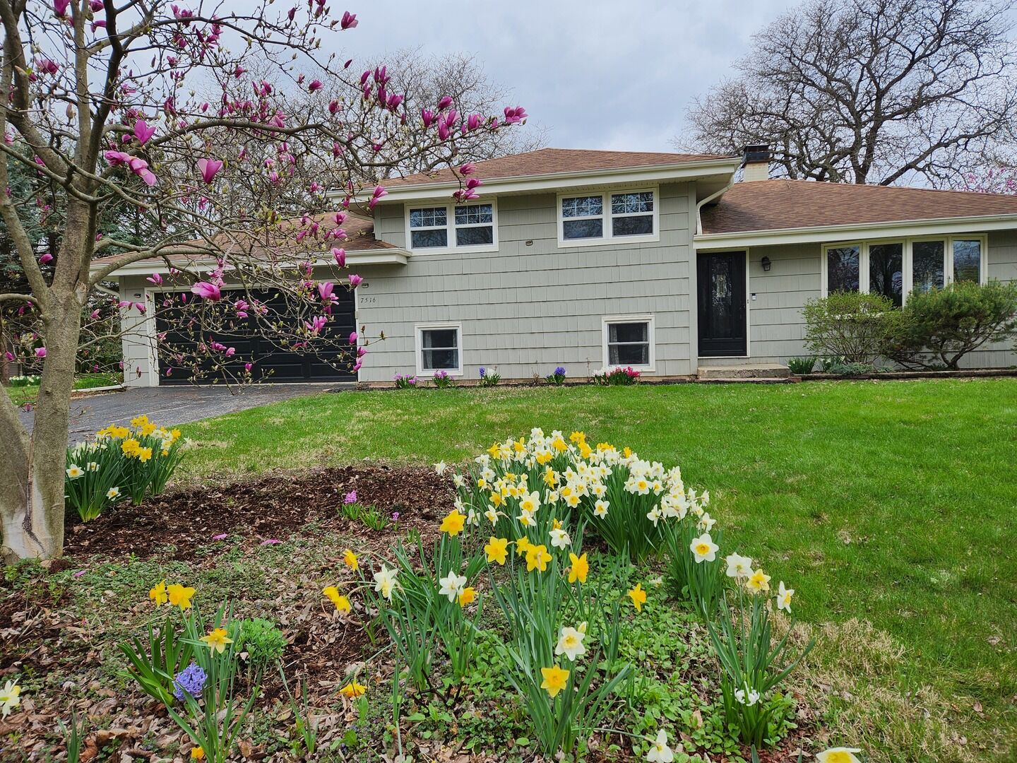 Property Photo:  7516 Main Street  IL 60561 