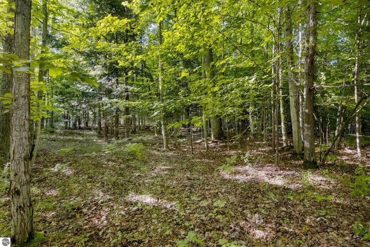 Property Photo:  #2 Aspen Trail  MI 49648 