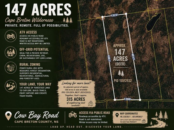 Cow Bay Road — photo 1