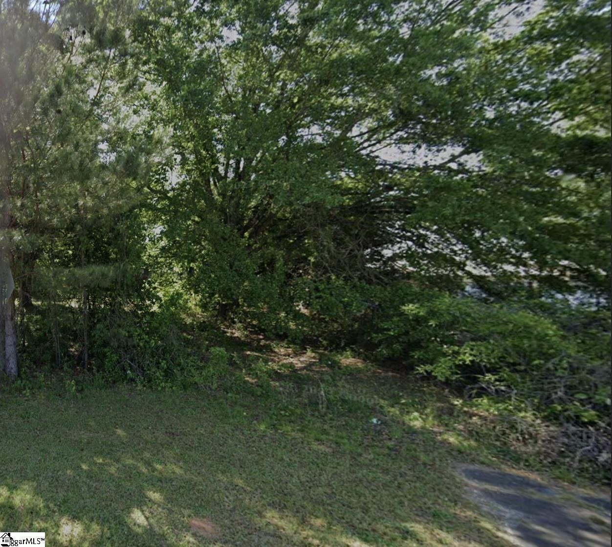 Property Photo: 207 Highway 651 SC 29644