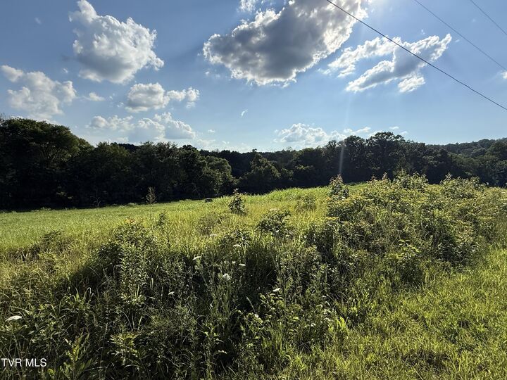Property Photo: Tbd Horseshoe Bend Road Lot 5 TN 37659