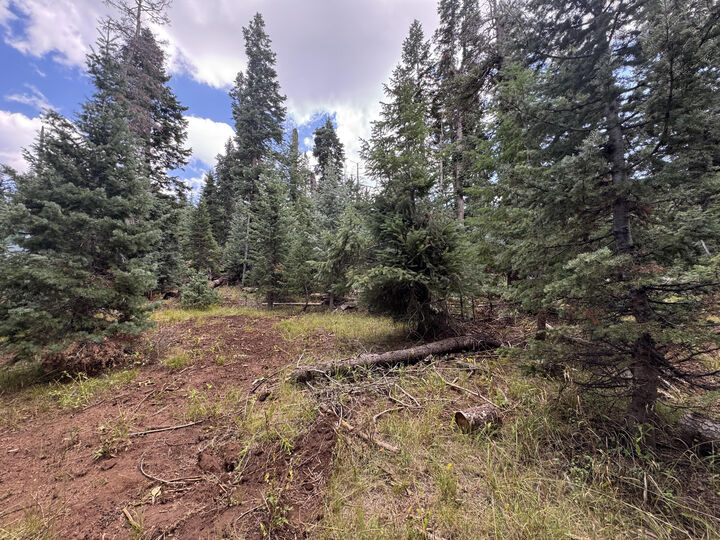 975 W Twisted Trail  Duck Creek UT 84762 photo