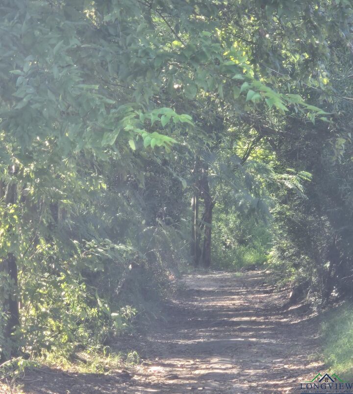 Property Photo: Tbd Martin Luther King Jr Dr TX 75652