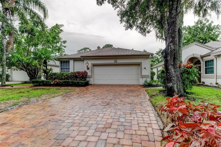 12209 Glencliff Circle  Tampa FL 33626 photo
