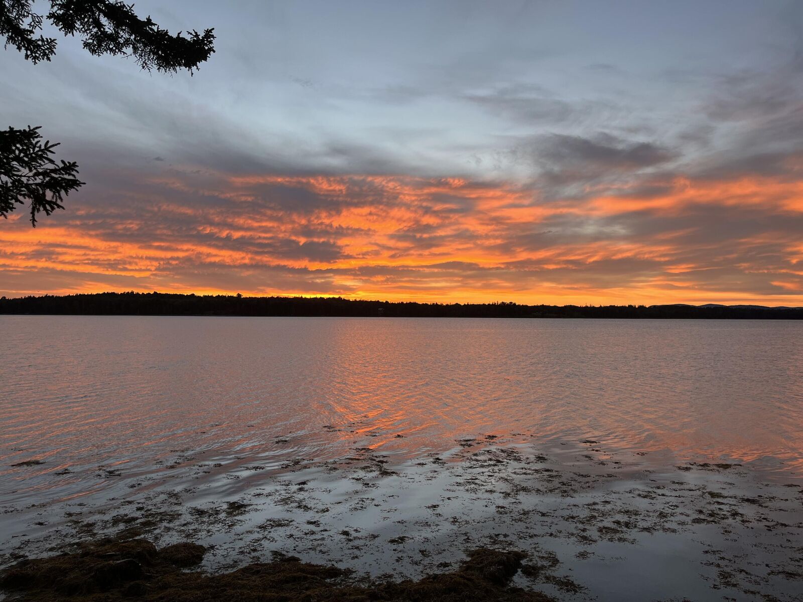 Property Photo:  423 Rogers Point Road  ME 04680 