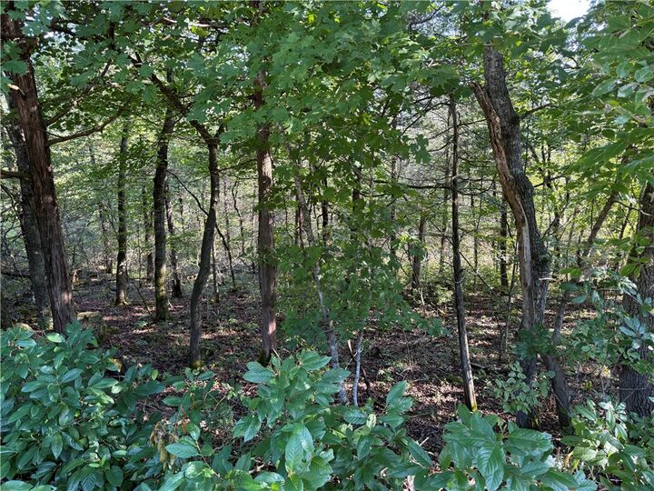 6 Puma Lane  Holiday Island AR 72631 photo