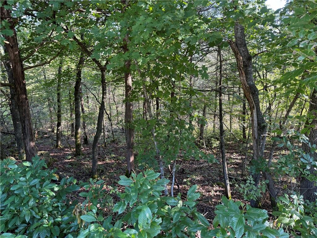 Property Photo: 6 Puma Lane AR 72631
