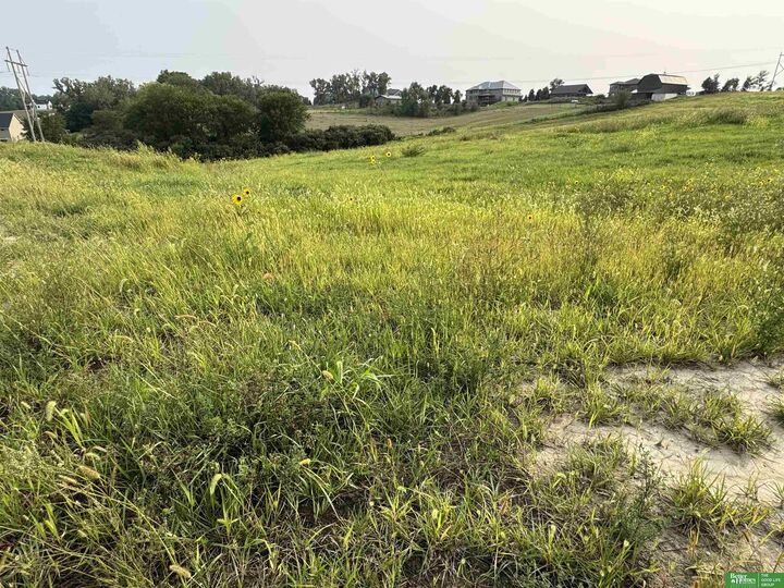 Property Photo:  Tbd Lot 48 Street  NE 68028 