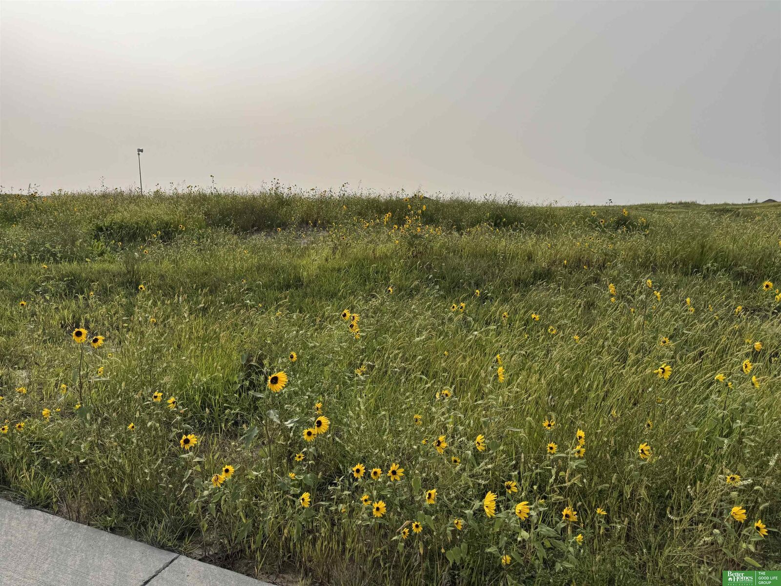 Property Photo: Tbd Lot 42 Street NE 68028