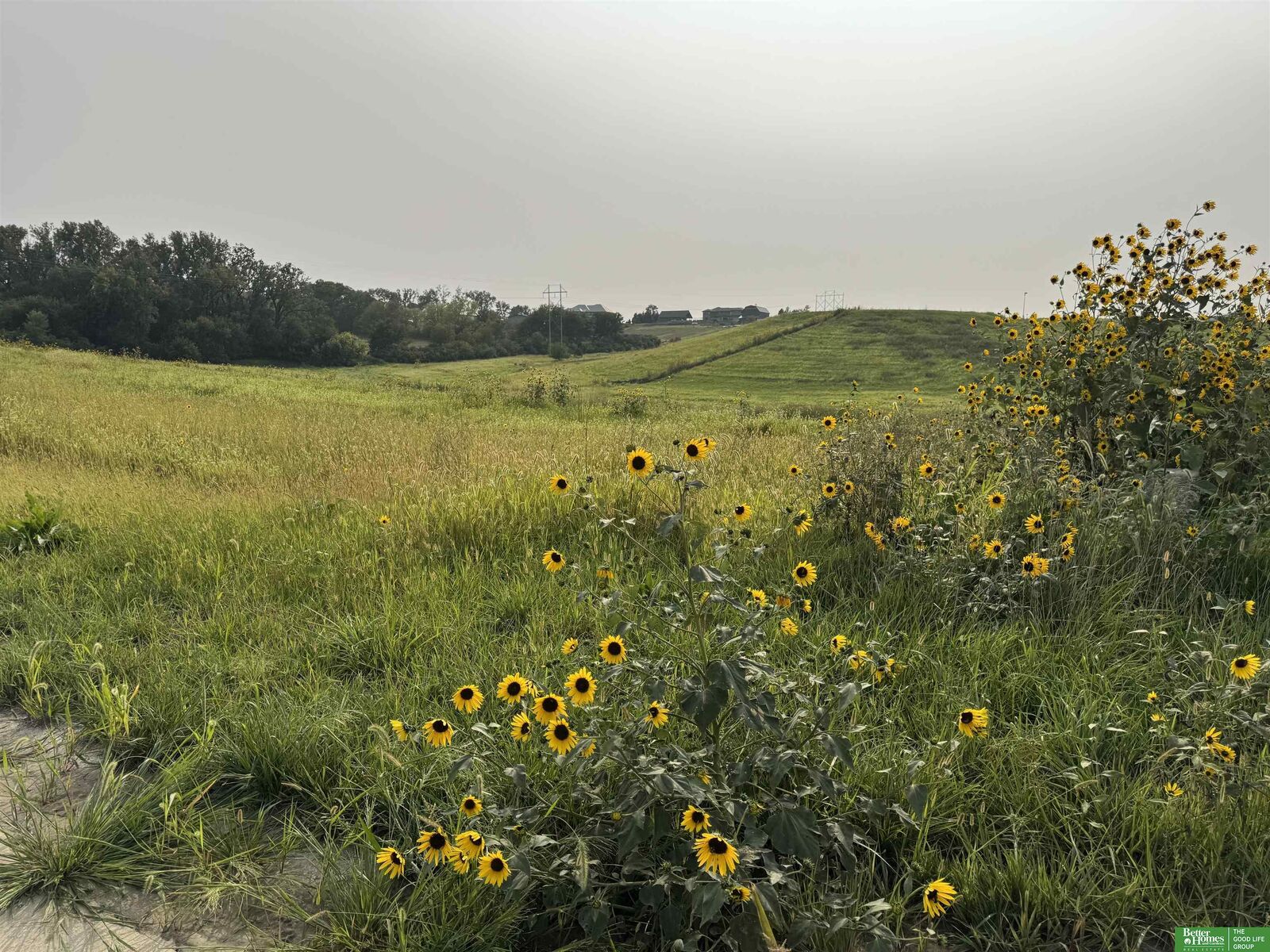 Property Photo:  Tbd Lot 52 Street  NE 68028 