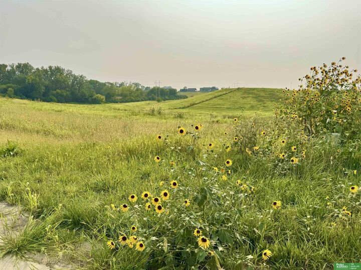 Tbd Lot 52 Street  Gretna NE 68028 photo