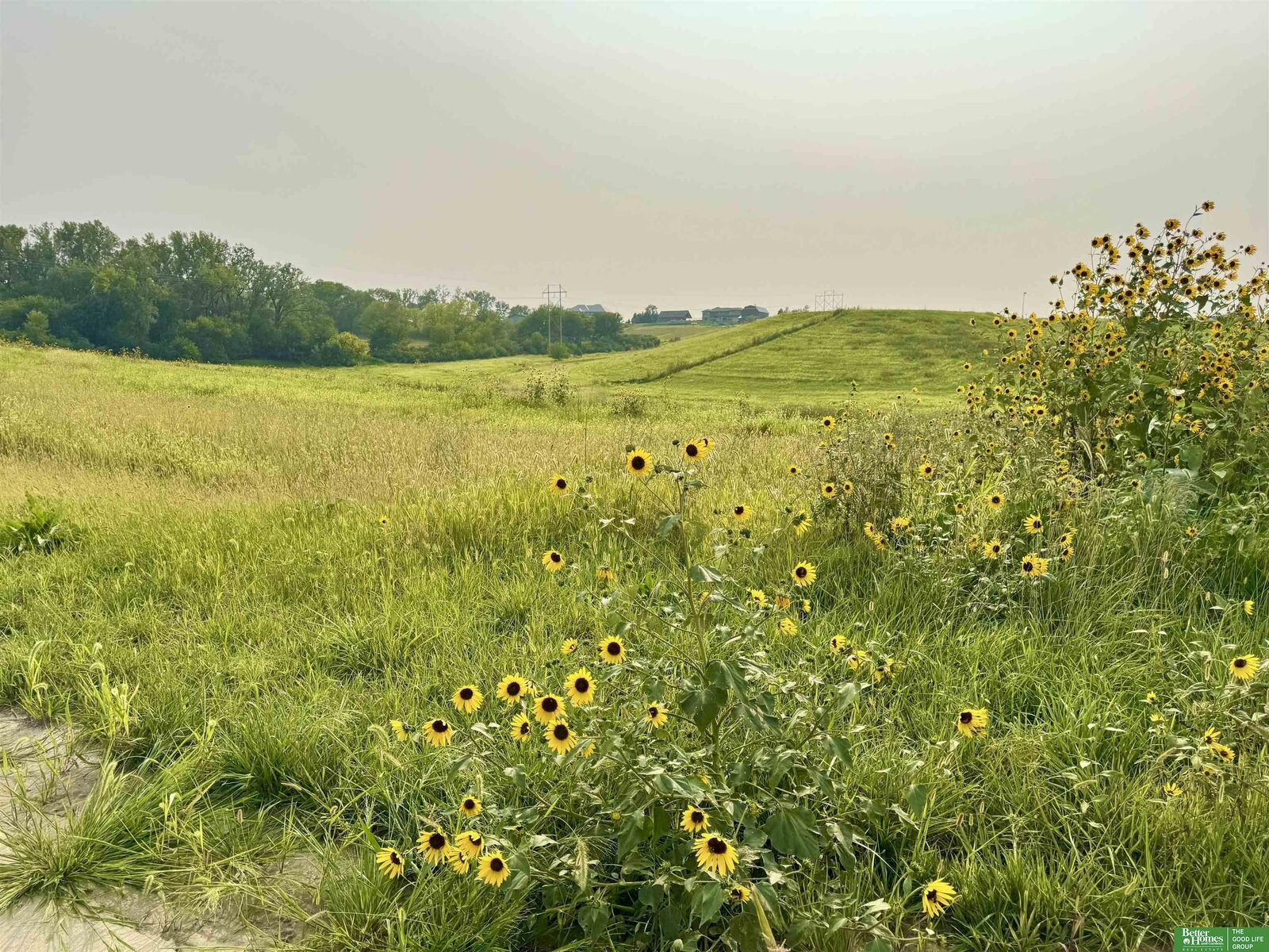 Property Photo:  Tbd Lot 52 Street  NE 68028 