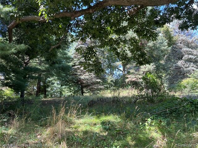 Property Photo: 24917 Martindale Road MI 48178