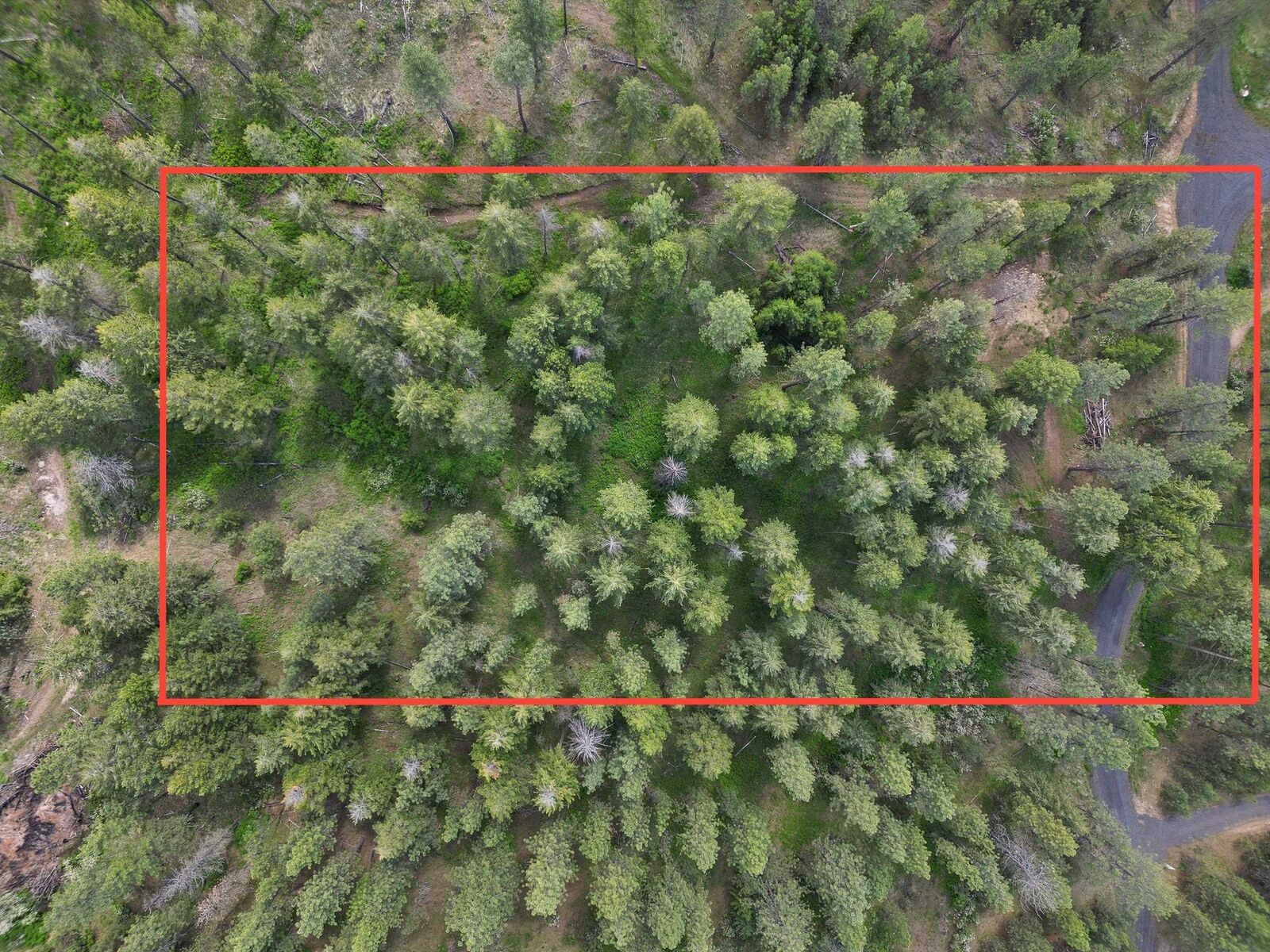 Property Photo: Nka Weaver Way Lot 4 Of Lot 1 WA 99006