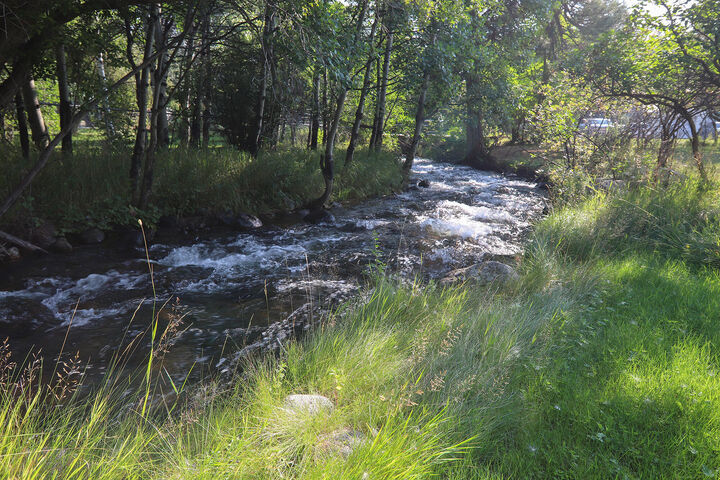 Property Photo:  59 Fish Hatchery Road  WY 82842 