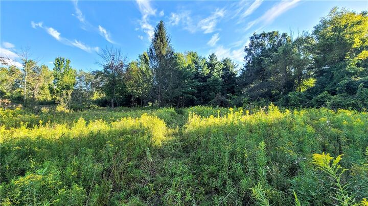 Property Photo: 74 Cherry Road NY 14850