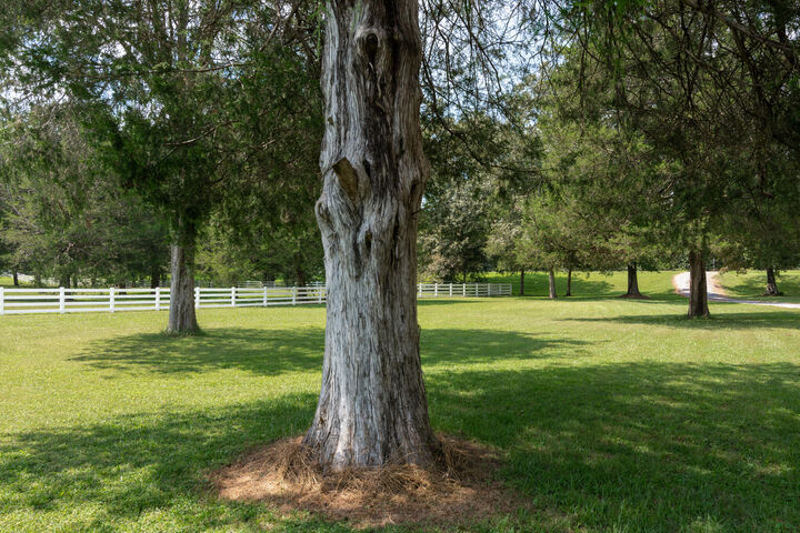 Property Photo: 4390 S R 28 TN 37327