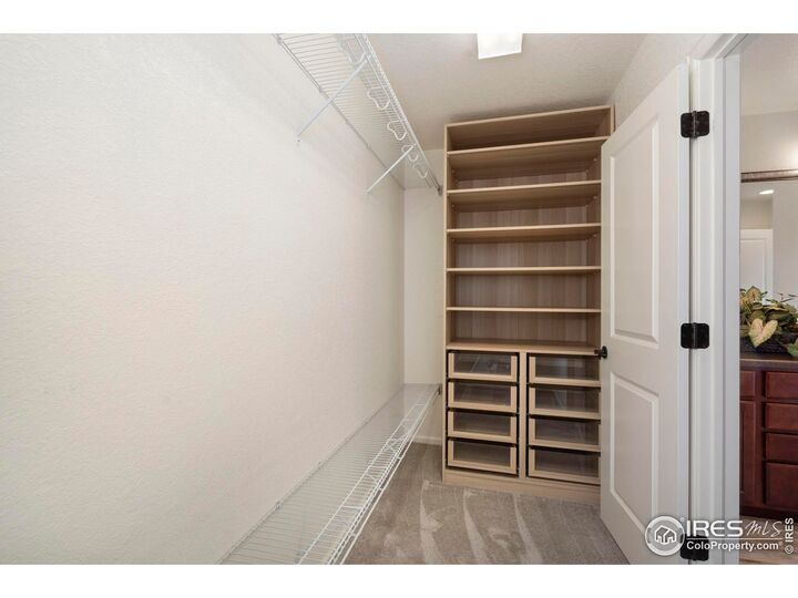 Property Photo:  4002 Wild Elm Way  CO 80528