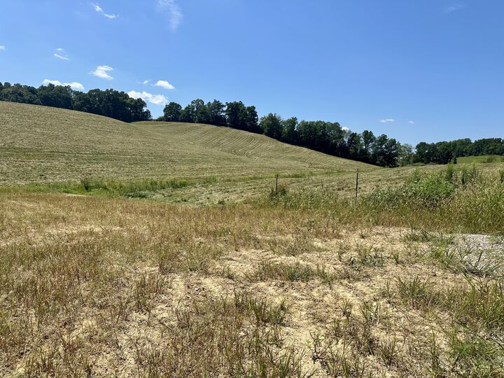 Property Photo:  133 Jaguar Way  KY 40741 