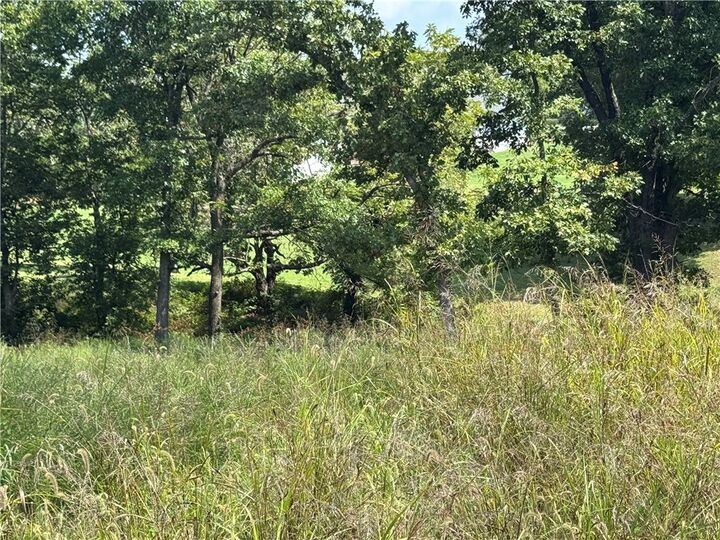 Property Photo: Lot 13 Bunch Circle AR 72736