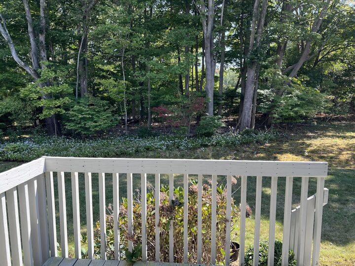 Property Photo:  100 Hemlock Road 4-2  CT 06405 