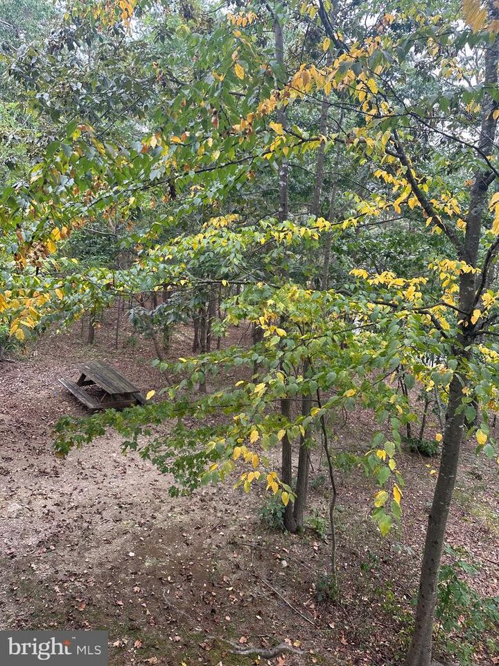 Property Photo:  404 Spitz Lane 88 A &Amp B  VA 22810 