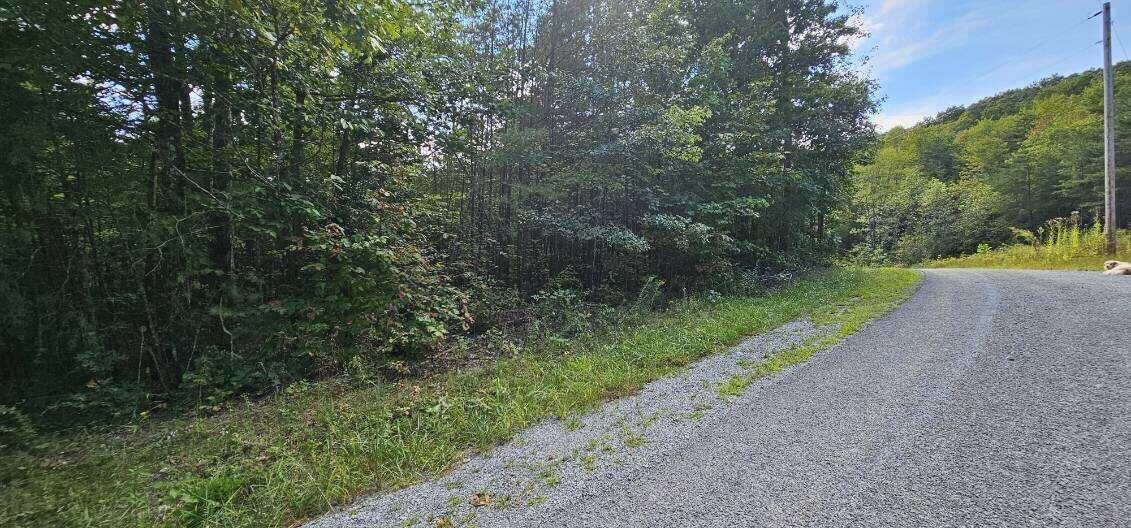 Property Photo: Lot 13 Bear Wallow Rd TN 37327