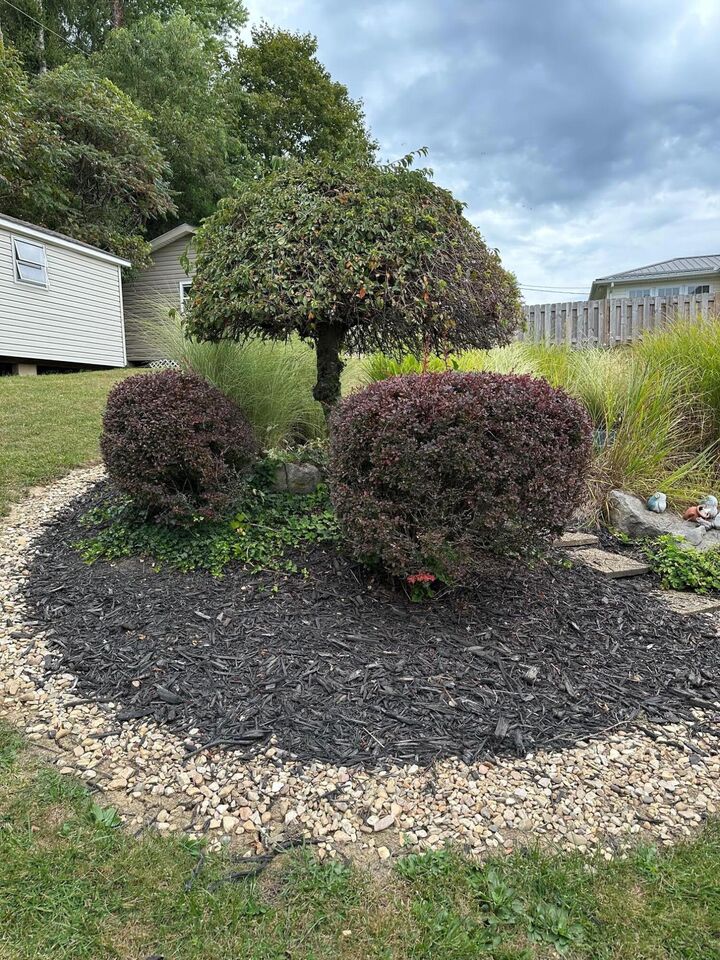 Property Photo:  292 Clearview Drive  WV 24901 