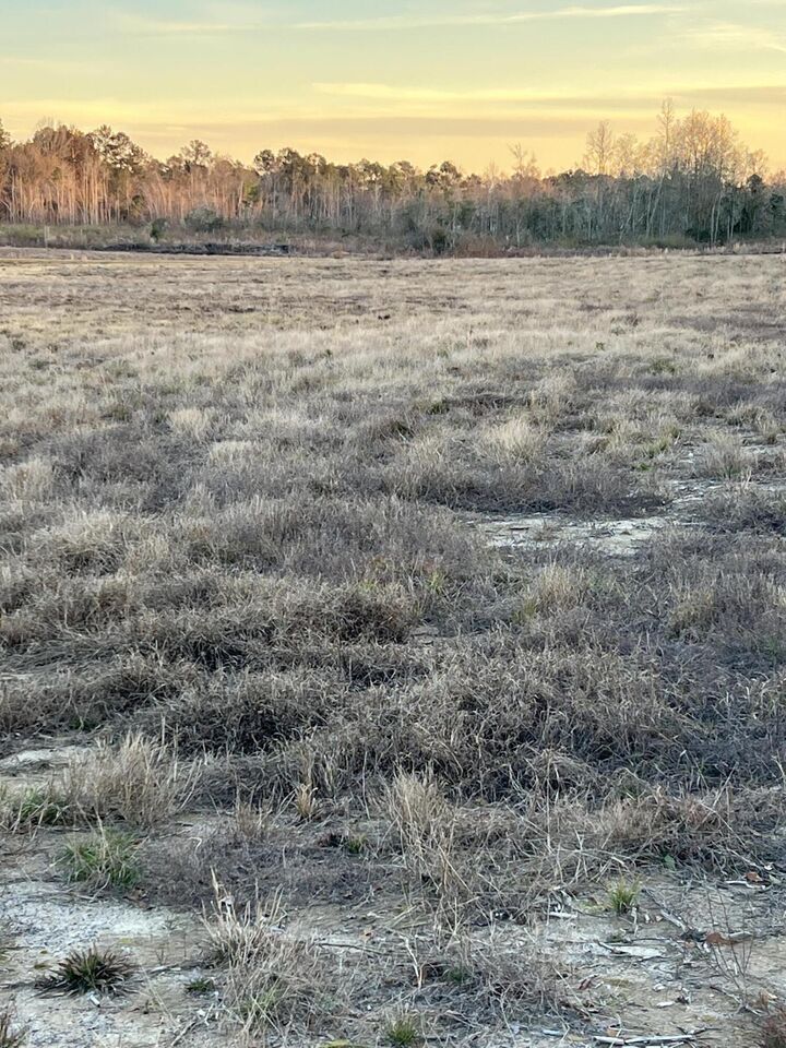 Property Photo:  Lot 5 1 Ac Patton Creek Rd.  MS 39367 
