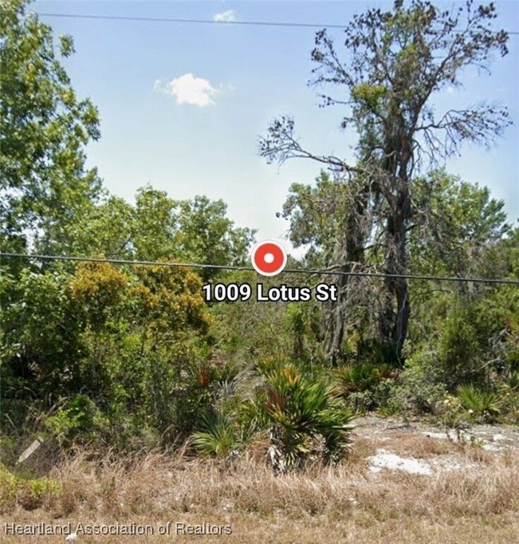 Property Photo: 1009 Lotus Street FL 33852