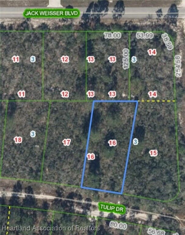 Property Photo: 286 Tulip Drive FL 33852