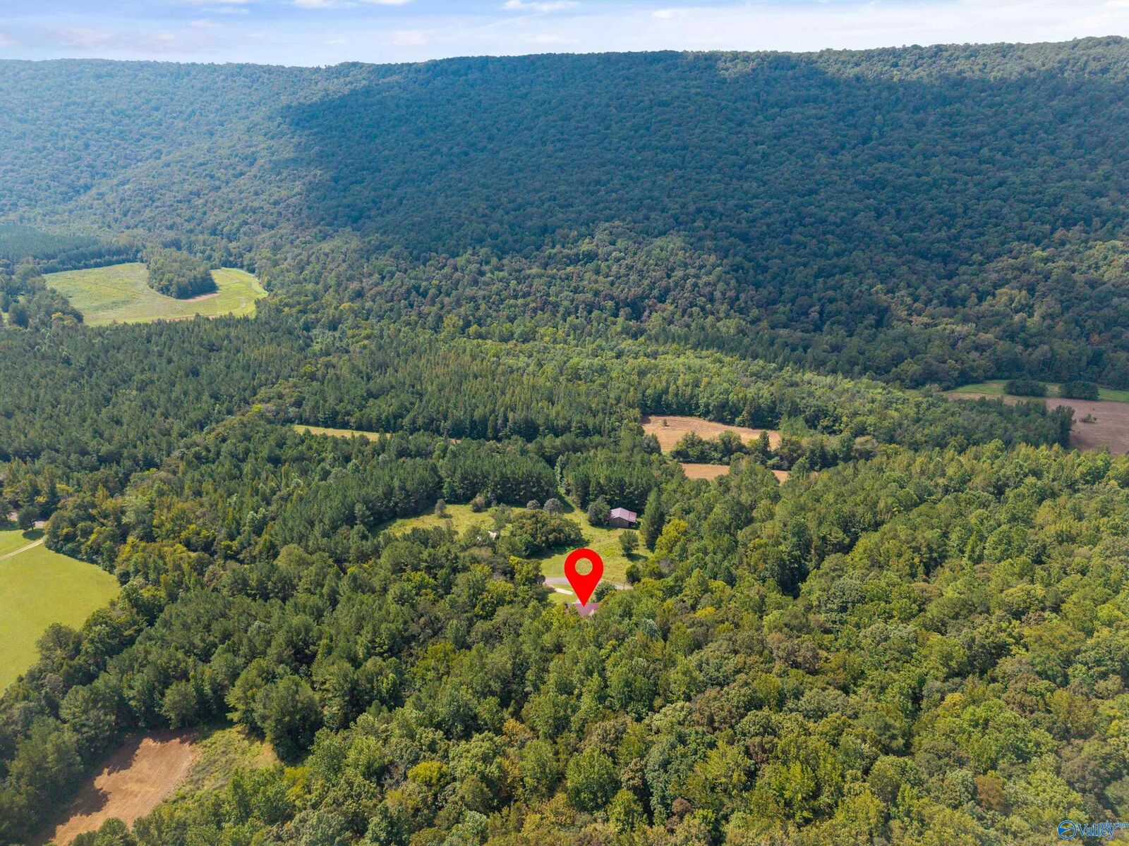 Property Photo:  3818 -5 County Road 4 Tract 5  AL 35751 