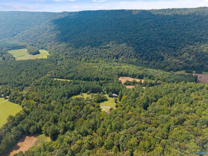 Property Photo:  3818 -3 County Road 4 Tract 3  AL 35751 