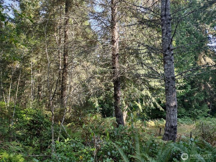 Property Photo:  0  Blue Valley Road  WA 98362 