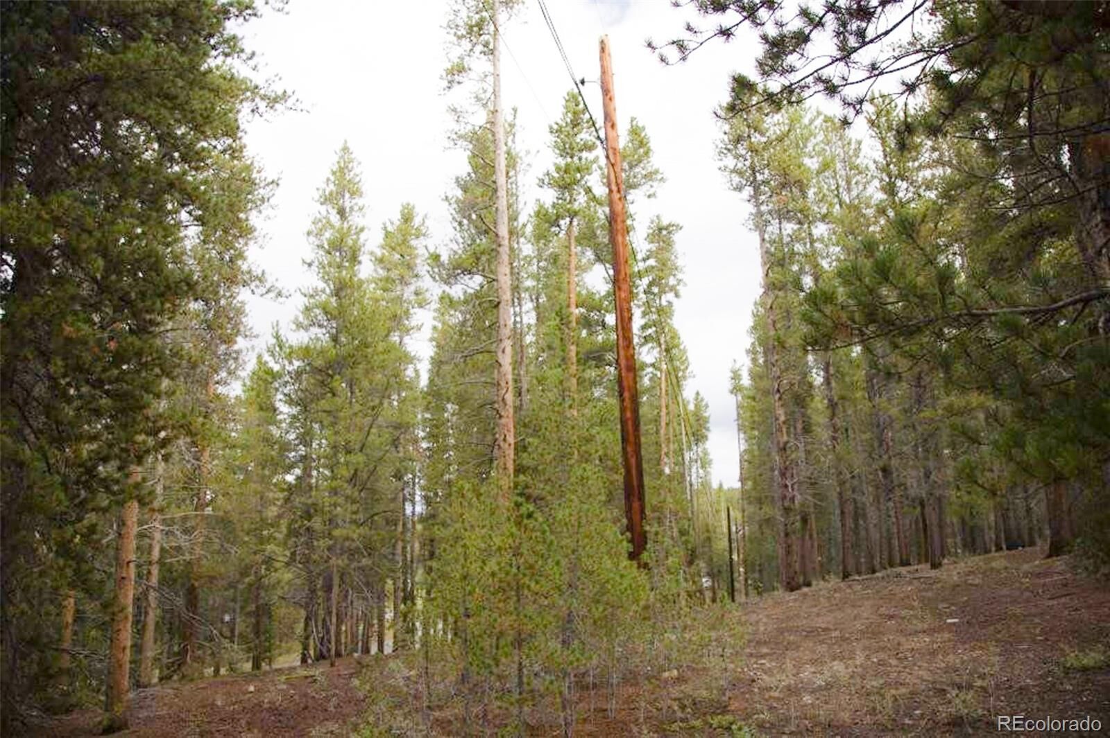 Property Photo: 416 Juniper Drive CO 81251
