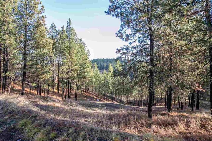 Property Photo: 13110 S Fairway Ridge Ln WA 99224