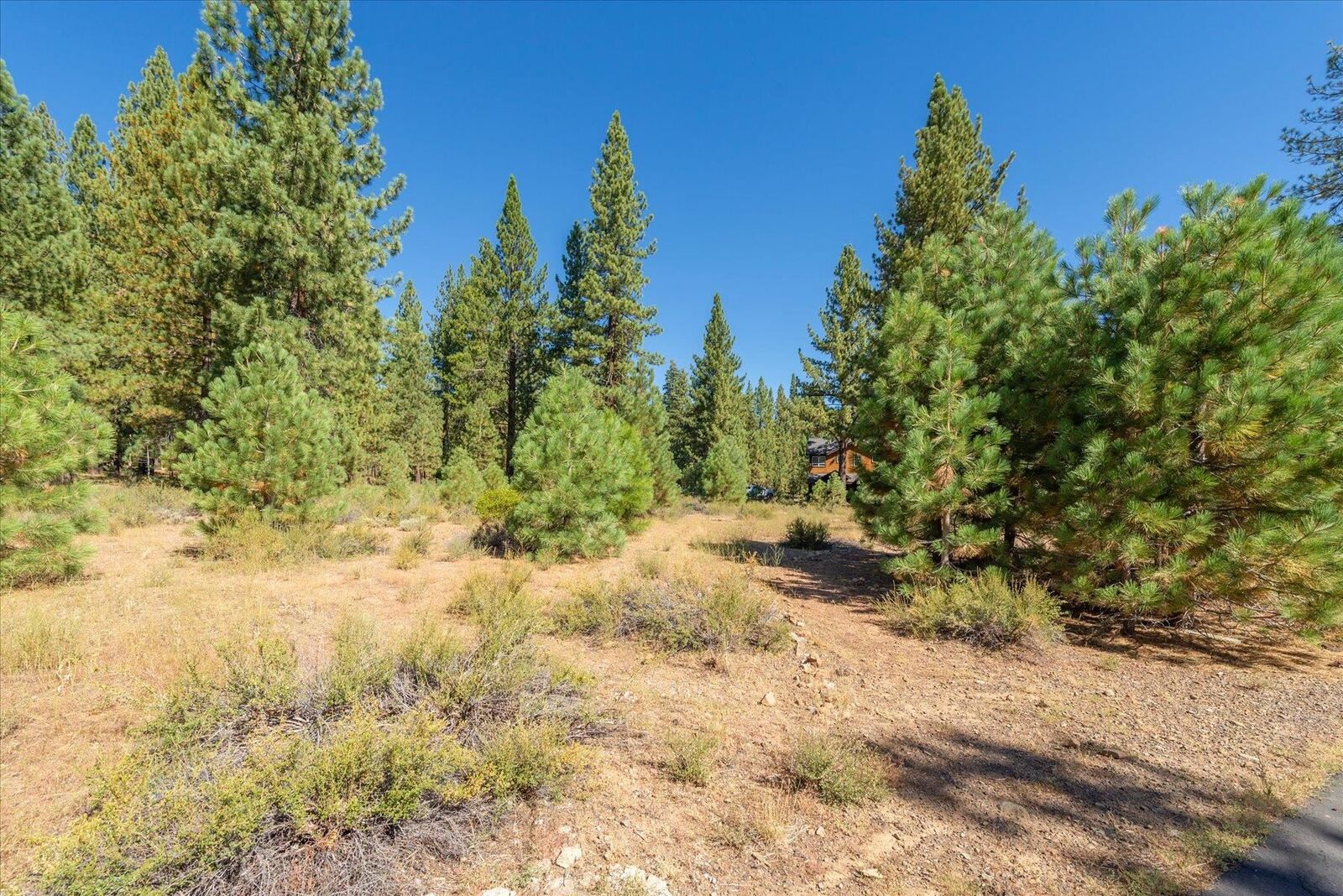 Property Photo:  11268 Wolverine Circle  CA 96161 