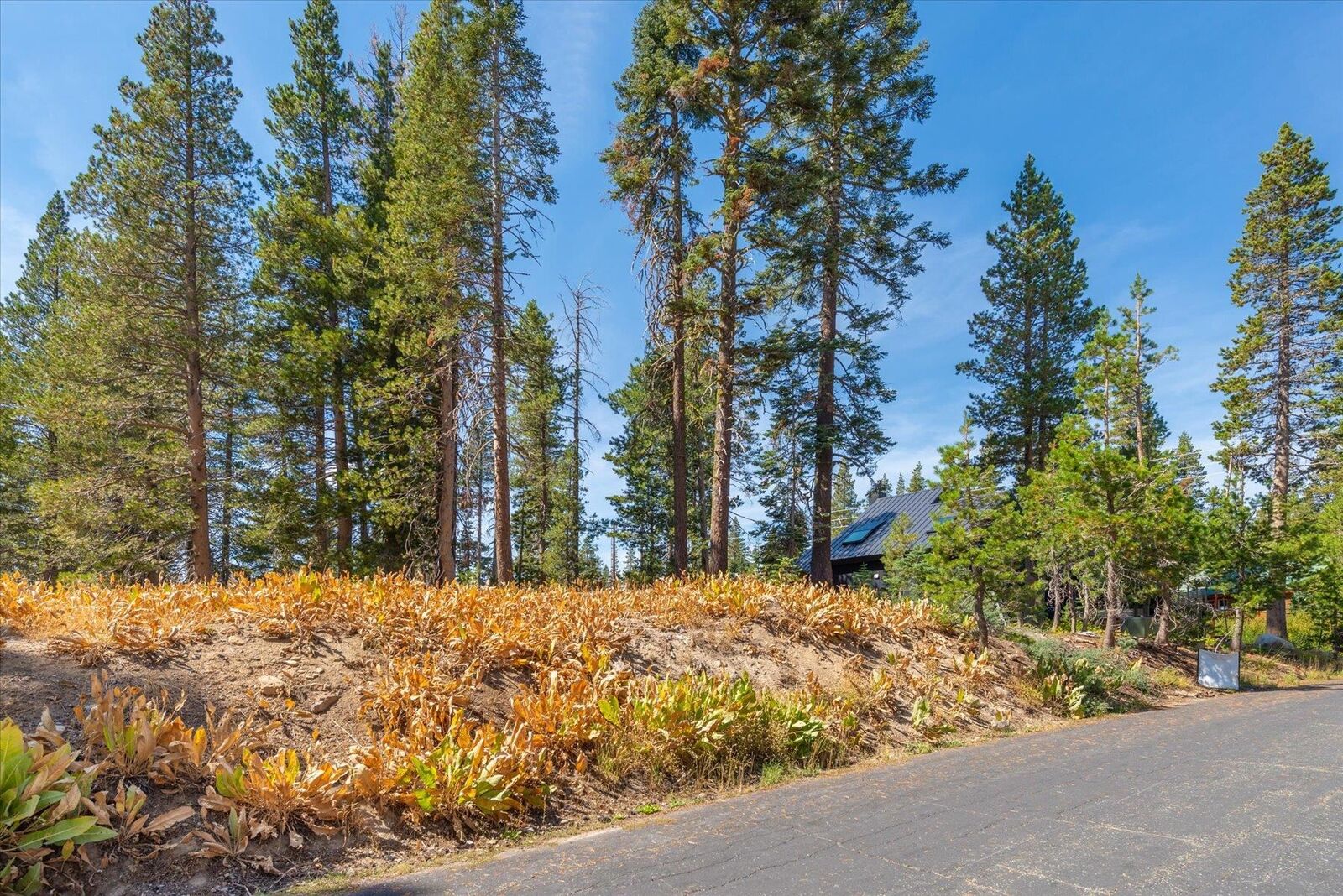 Property Photo:  8435 Hillside Drive  CA 95728-000 