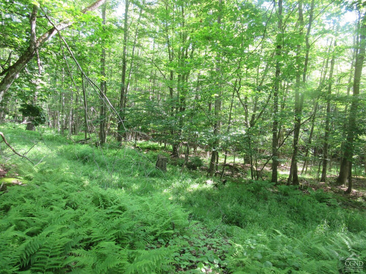 Property Photo:  0 Route 23C Lot #4  NY 12452 