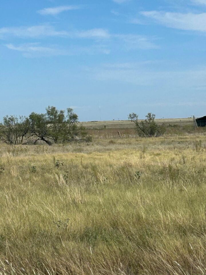Property Photo: 0 S Fm 1258 - Williams TX 79118