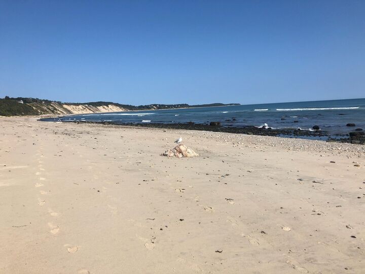 Property Photo:  4 Clapp Lane  MA 02562 