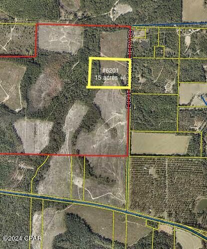 Tract#6201 8 Mile Cemetery Road 2A  Defuniak Springs FL 32433 photo