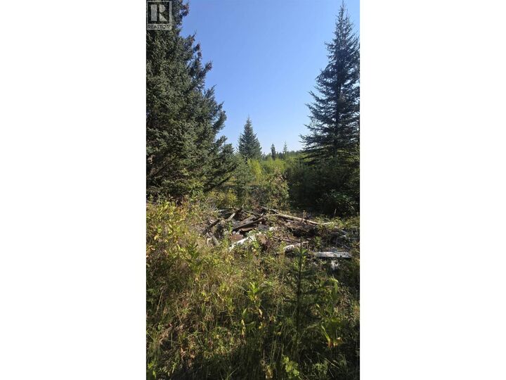 Property Photo:  Dl 2886 Horse Lake Forest Service Road  BC V0K 2E3 