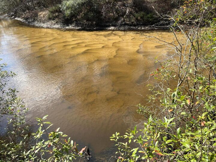 Property Photo:  X Eagles Way  FL 32433 