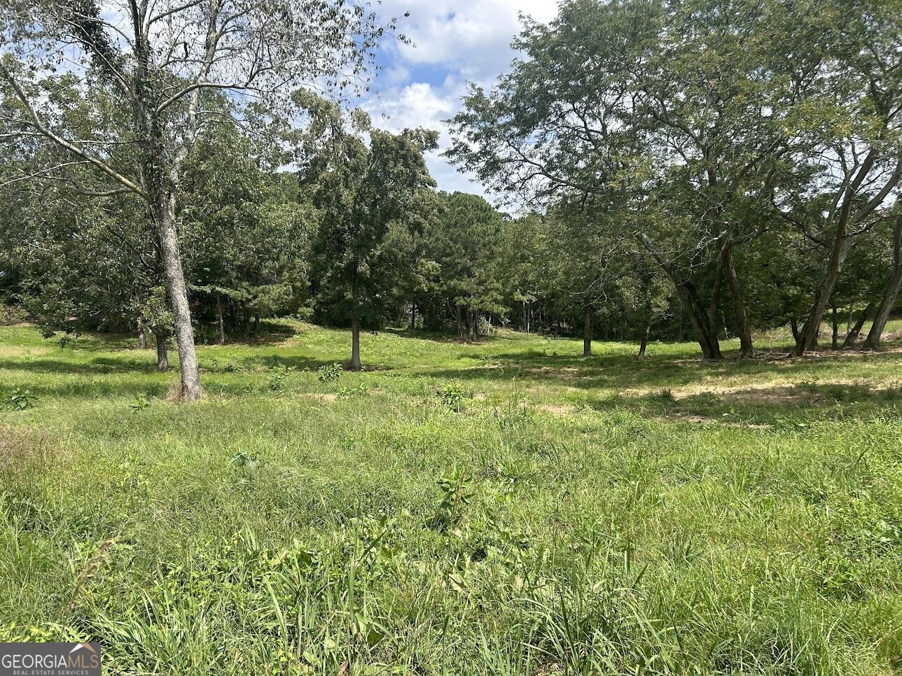 Property Photo:  0 Blackjack Mountain Rd (Tract 2--12.63 Acres)  GA 30108 